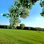 Stodola Home&chill Holiday home Wronki (Greater Poland)