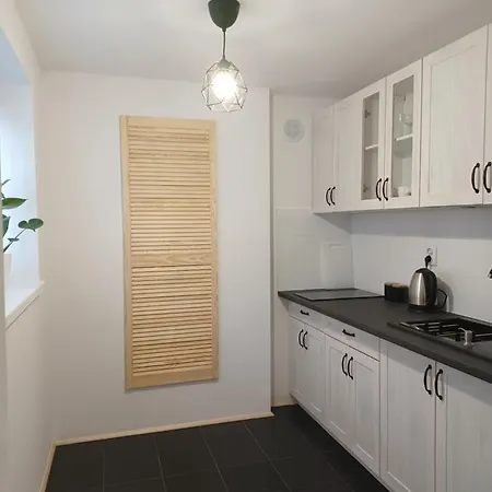 펜션 Stodola Home&chill 브론키