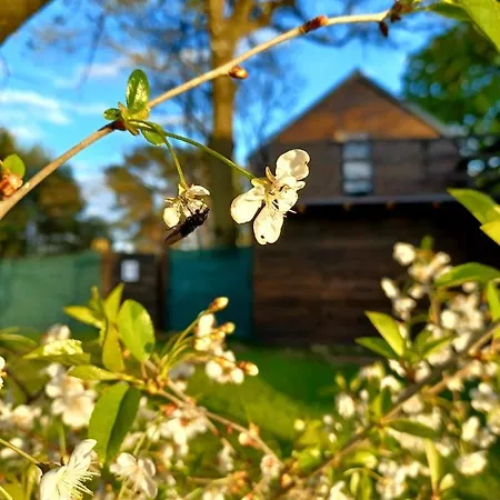 Stodola Home&chill *