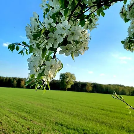 Stodola Home&chill Nyaraló Wronki