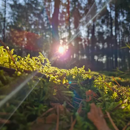 Dom wakacyjny Stodoła Home&chill *