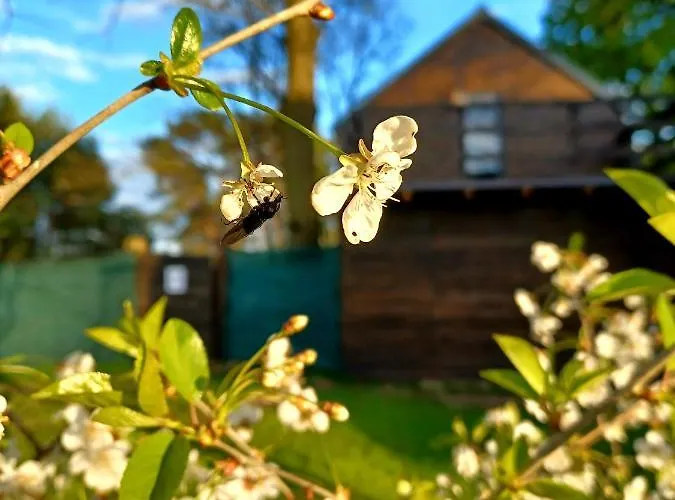 Stodoła Home&chill *