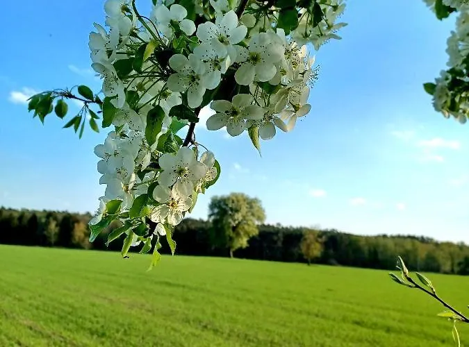 Stodoła Home&chill Dom wakacyjny Wronki (Greater Poland)
