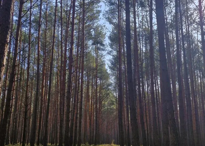 Stodoła Home&chill Dom wakacyjny *