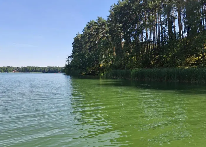 Stodoła Home&chill Dom wakacyjny *