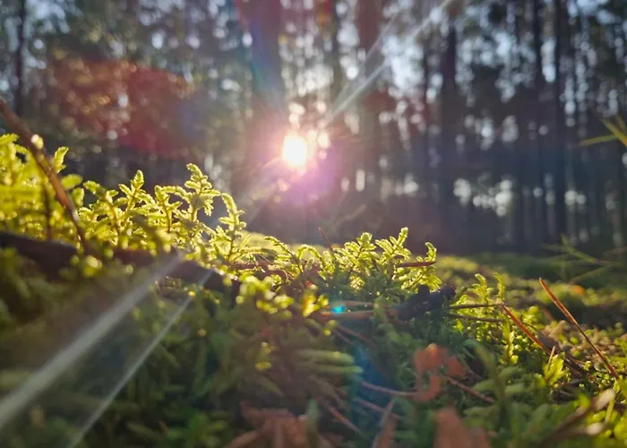Dom wakacyjny Stodoła Home&chill *
